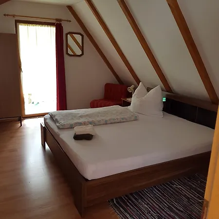 Guest house Zur Schmiede Freiberg
